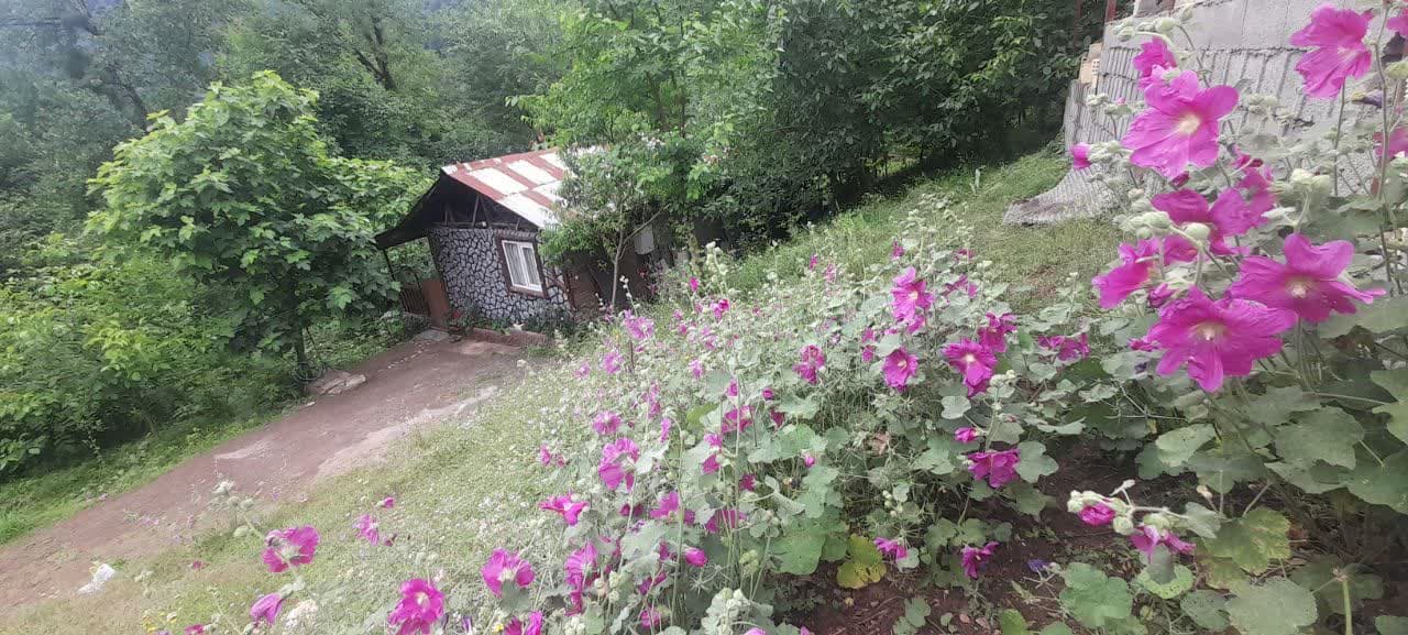 ویلا باغ روستایی در ماسال